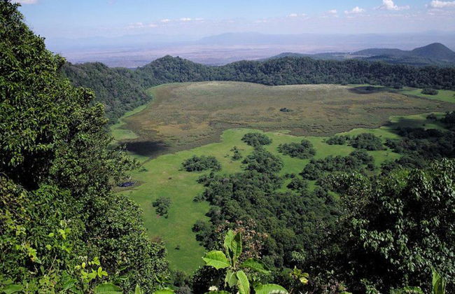 Excursión privada de día completo al Parque Nacional Arusha - Foto 2